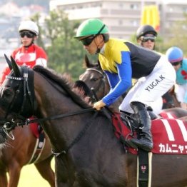 【ローズＳ】骨折で春クラシックを棒に振ったタイセイボーグがここから復帰
