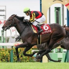 【セントライト記念】ダービー①②着馬不在なら注目は③着馬バステール