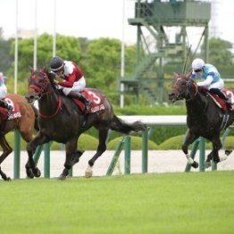 セントウルＳはいかにも開幕週の競馬