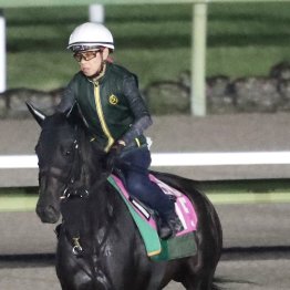 【ローズＳ】モンローウォーク４連勝へ