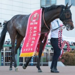 【セントライト記念】バステール好発進