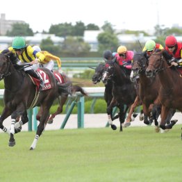 【ローズＳ】前走１勝クラス組を狙え