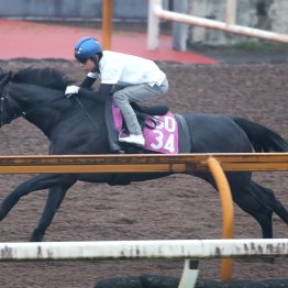 【ローズＳ】調教マル得チェック②