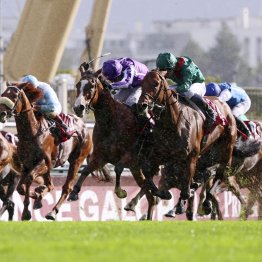 本番までは３週間と少し　凱旋門賞の前哨戦３鞍が終了