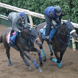 【ローズＳ】エンネ勝って大舞台だ