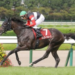 【ローズＳ】モンローウォークが４戦無敗で重賞を制す