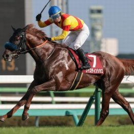 【セントライト記念】12番人気ジャスティンシカゴがVで３連単は28万馬券