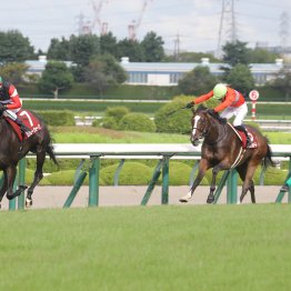 豪州母系モンローウォークは秋華賞でより持ち味が生きる