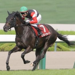 【ローズＳ】モンローウォーク３馬身差で無傷の４連勝
