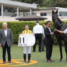 先週はスローブギがデビュー勝ち　実はこの馬…