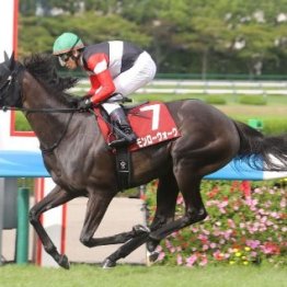 芝の差し、外枠不利は３週目から変わるのか