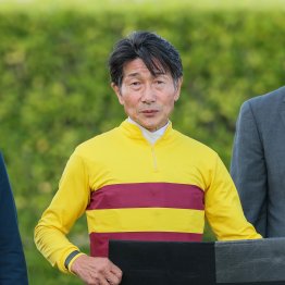 ＪＲＡ最年長騎手　柴田善が引退