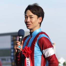 【神戸新聞杯】ロブチェンの３冠達成確率は今回の結果次第で大きく変わる！？