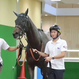 【藤岡の土曜競馬コラム・大阪スポーツ杯】