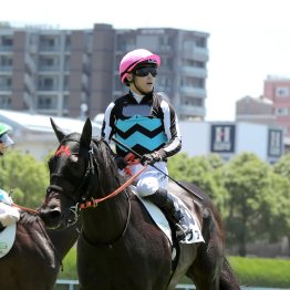 【勝羽の土曜競馬コラム・北摂特別】