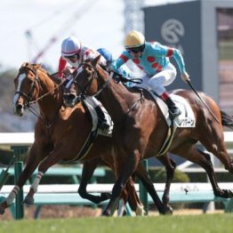 【市川の土曜競馬コラム・九十九里特別】