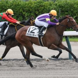 【飯島の土曜競馬コラム・中山３Ｒ】
