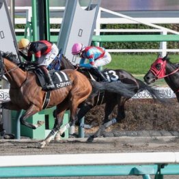 【新居の土曜競馬コラム・ながつきＳ】