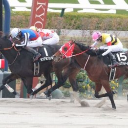 【大谷の土曜競馬コラム・ながつきＳ】