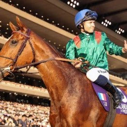 【海外競馬特別インタビュー】グラファール師に聞いたカランダガン、ダリズ、そして日本馬のこと