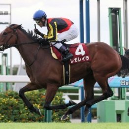 【市川の日曜競馬コラム・オールカマー】