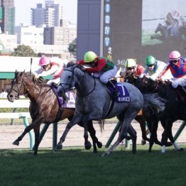 【橘の日曜競馬コラム・オールカマー】