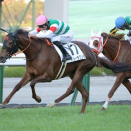 【大阪本紙・弘中の日曜阪神11Ｒ】