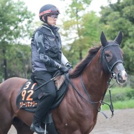 【市川の日曜競馬コラム・神戸新聞杯】