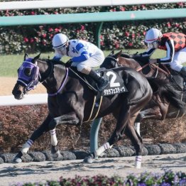 【飯島の日曜競馬コラム・ＪＲＡアニバーサリーＳ】