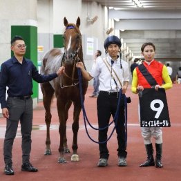 【木津の日曜競馬コラム・月曜中山12Ｒ】