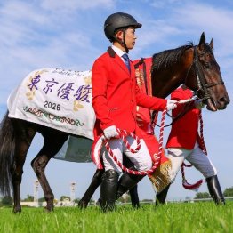 【大谷の日曜競馬コラム・神戸新聞杯】