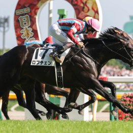 【大阪本紙・弘中の神戸新聞杯】