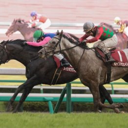 【オールカマー】重馬場が影響！？　９番人気メイショウゲキリンの逃げ切りで大波乱に