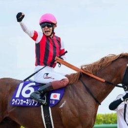 【スプリンターズＳ】秋ＧⅠシリーズ開幕　群雄割拠のスプリント界で王者に君臨するのはどの馬か