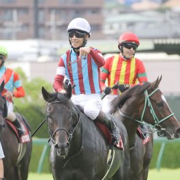 極端な重馬場だったオールカマーはダート巧者の血を多く持つ２頭でのワン・ツー