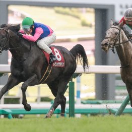 極端な重馬場だったオールカマーはダート巧者の血を多く持つ２頭でのワン・ツー