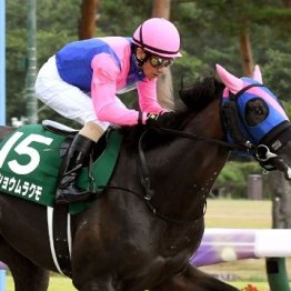 馬乗りが日本一のヨシトミさんが現役を引退　本当にお疲れ様でした