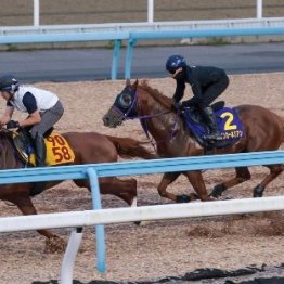 ウインカーネリアン連覇へ上積み十分