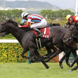 神戸新聞杯を見ていて気になった武豊の動き