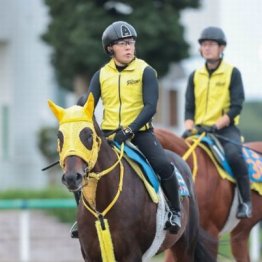 【飯島の土曜競馬コラム・シリウスＳ】