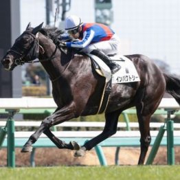 【新居の土曜競馬コラム・秋風Ｓ】