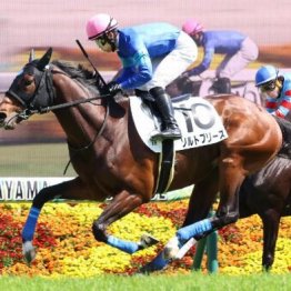 【大谷の土曜競馬コラム・秋風Ｓ】