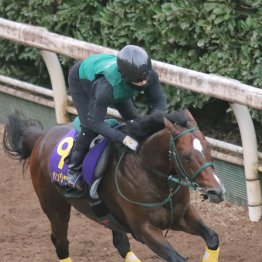 【藤岡の日曜競馬コラム・スプリンターズＳ】