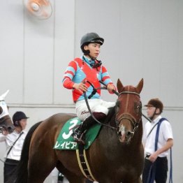 【木津の日曜競馬コラム・スプリンターズＳ】