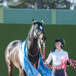 【橘の日曜競馬コラム・スプリンターズＳ】