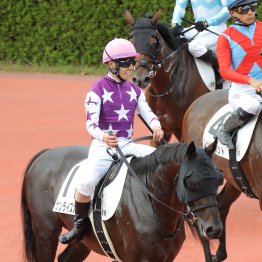【レスキュー隊の日曜競馬コラム・阪神12Ｒ】