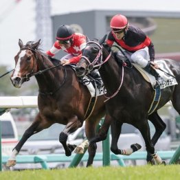 【東京本紙・外山の日曜中山10Ｒ】