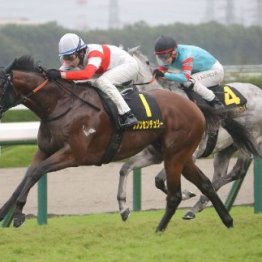 【ポートアイランドＳ】ダノンセンチュリーがオープン初勝利