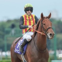 【スプリンターズＳ】１、２番人気のＧⅠ馬２頭の敗因は…