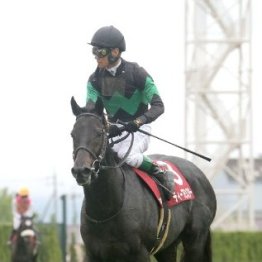 【京都大賞典】連覇狙うディープモンスターなど実力馬が激突